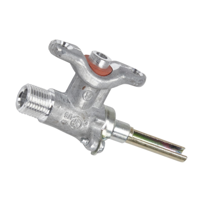 A dishwasher water supply valve