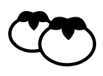 Tomatoes icon