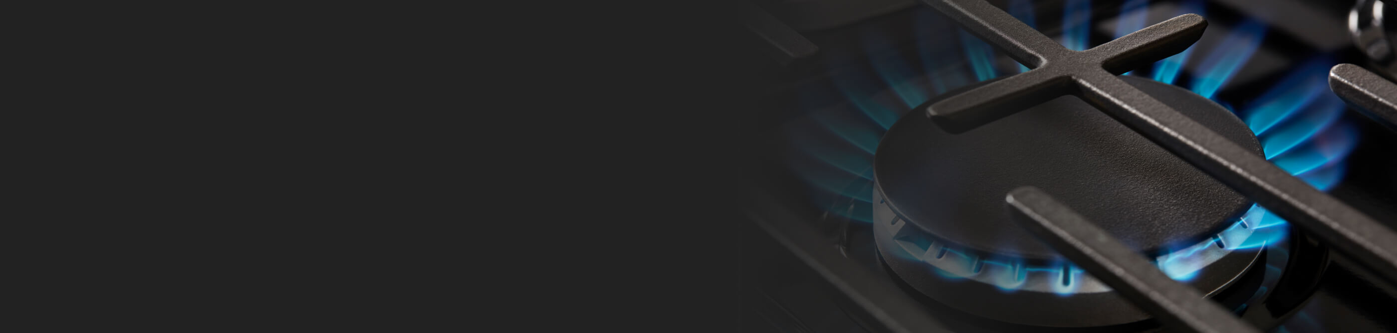 A gas stove burner