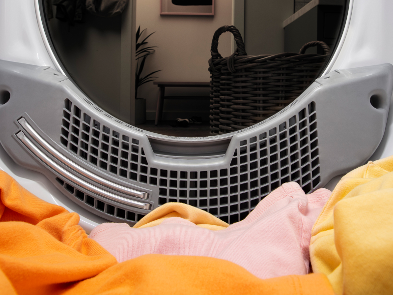 View from inside of dryer showing dryer lint trap