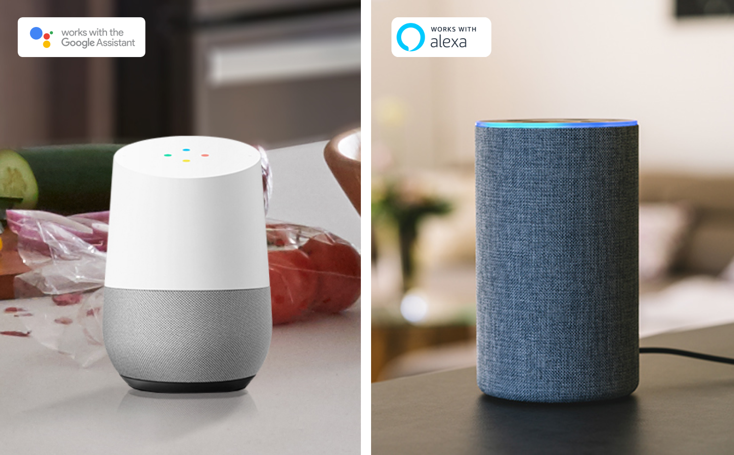 Voice-enabled assistants 