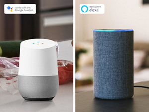 Voice-enabled assistants